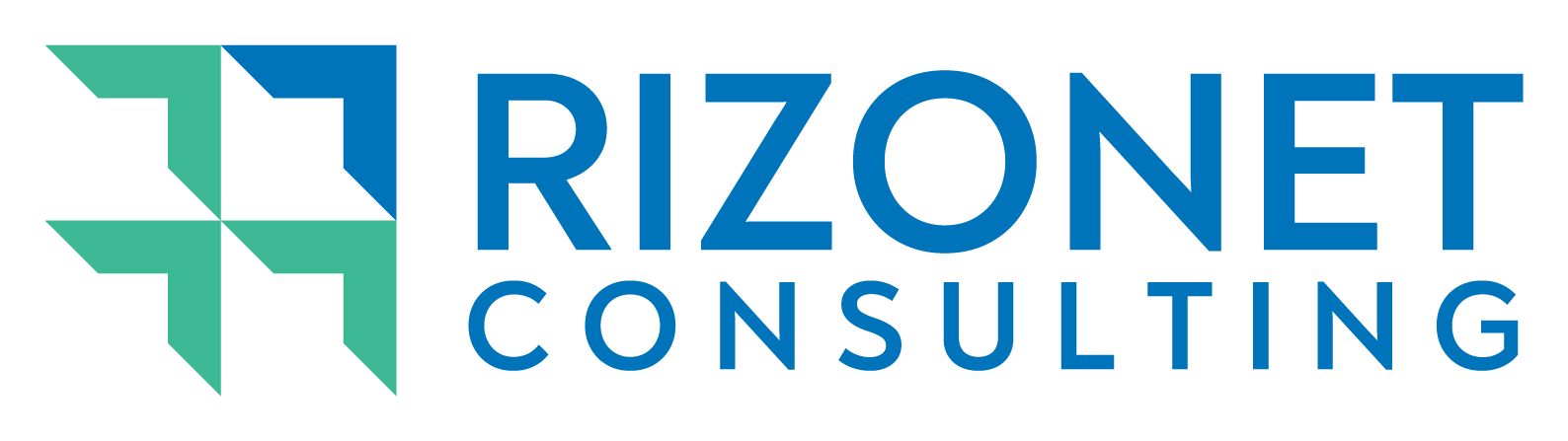 Rizonet Consulting, LLC - Home
